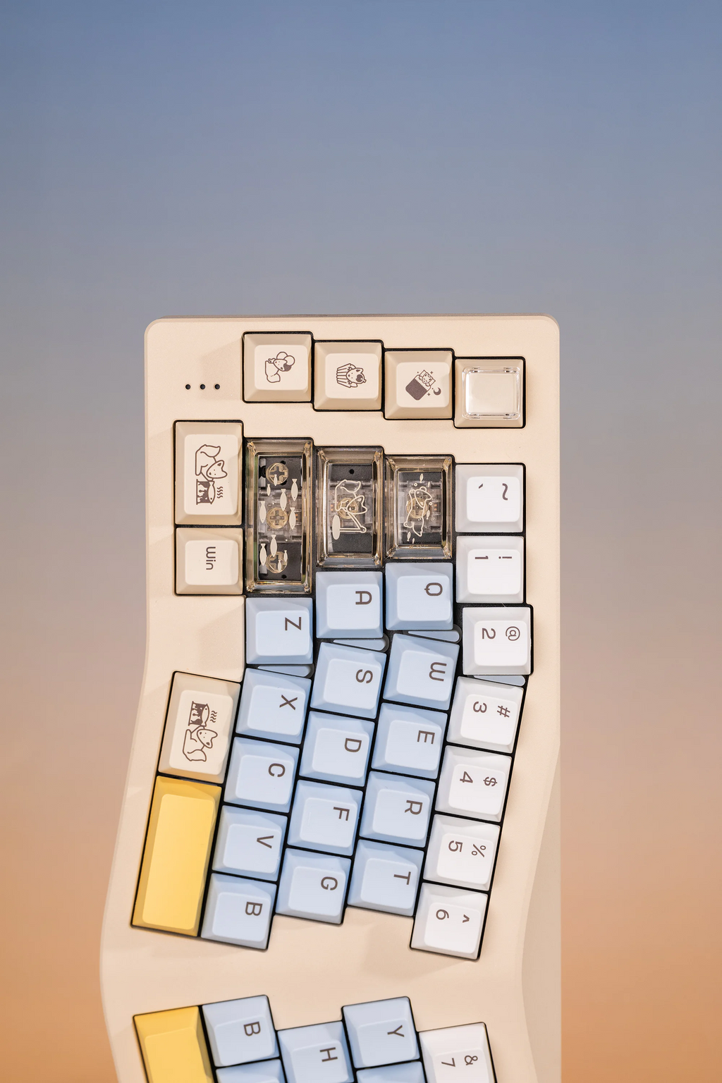 Artic Fox | Cherry Profile | PBT+PC Keycap Set