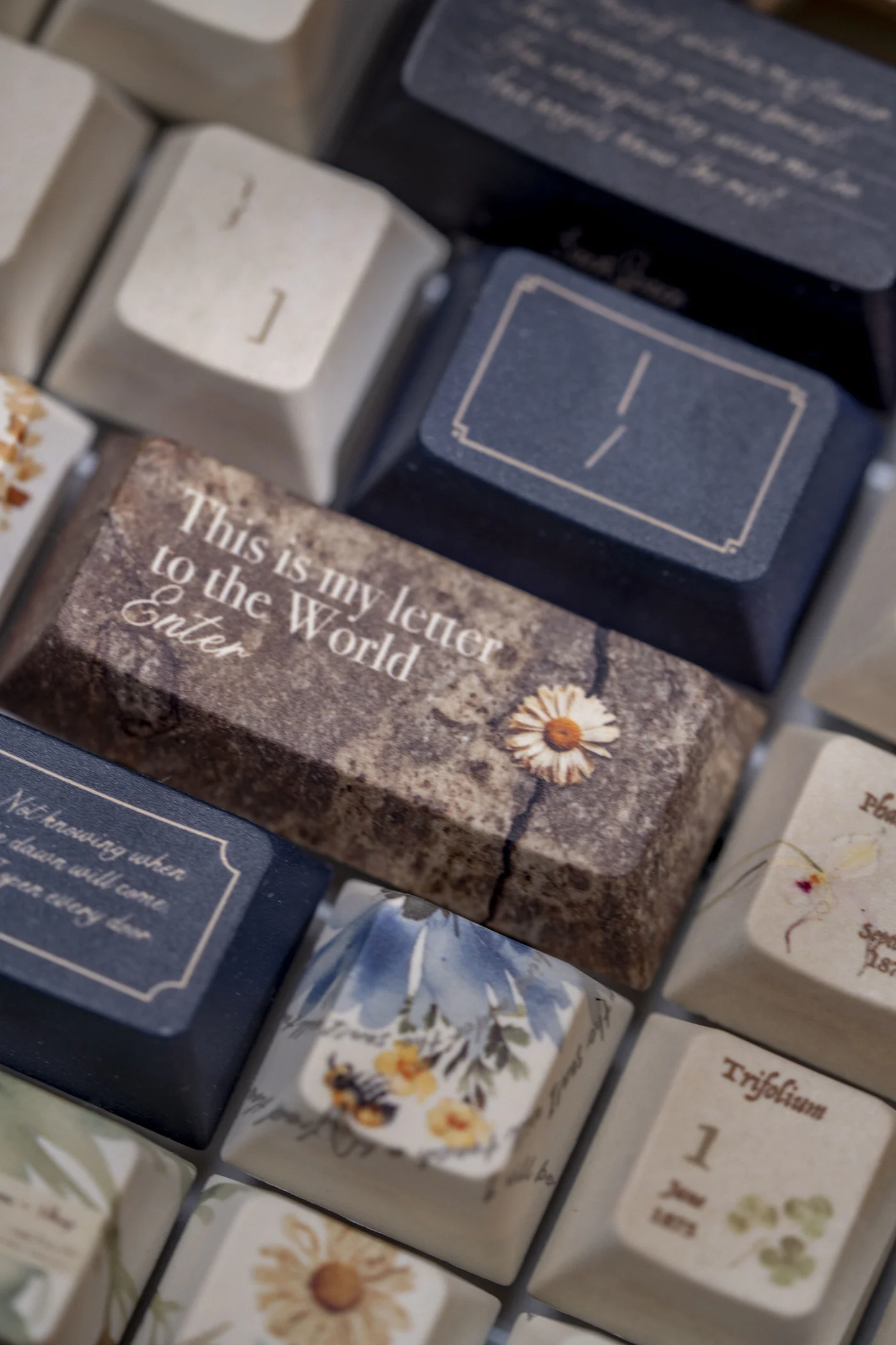 Emily Dickinson – Secret Garden | Cherry Profile | PBT+PC Keycap Set