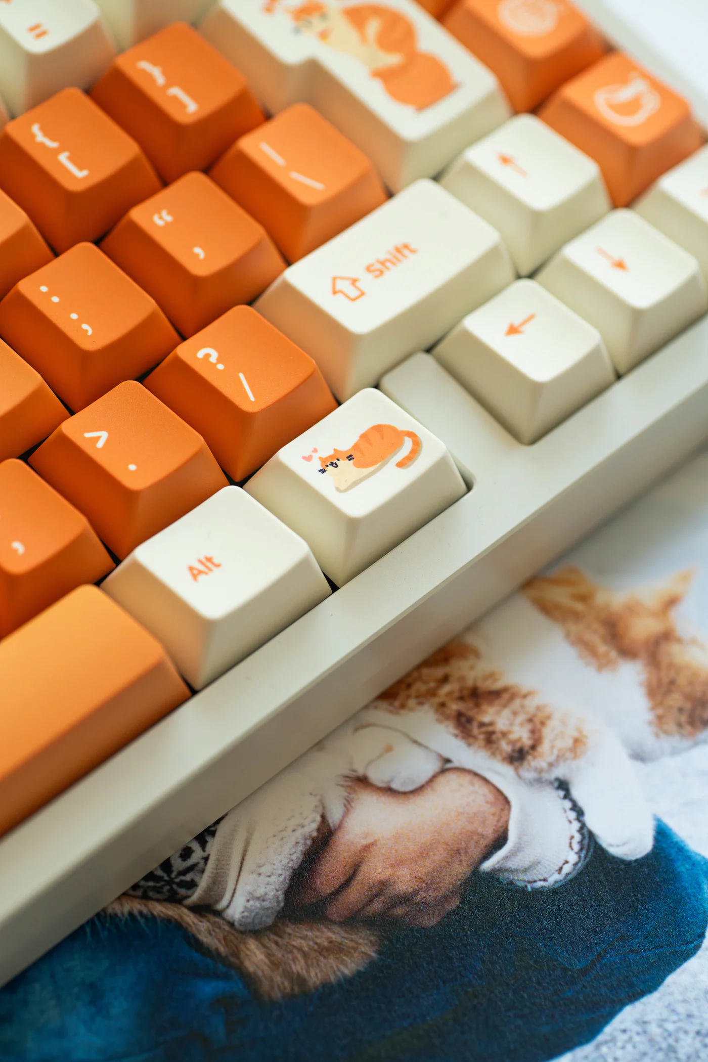 Orange Cat | Cherry Profile | PBT Keycap Set