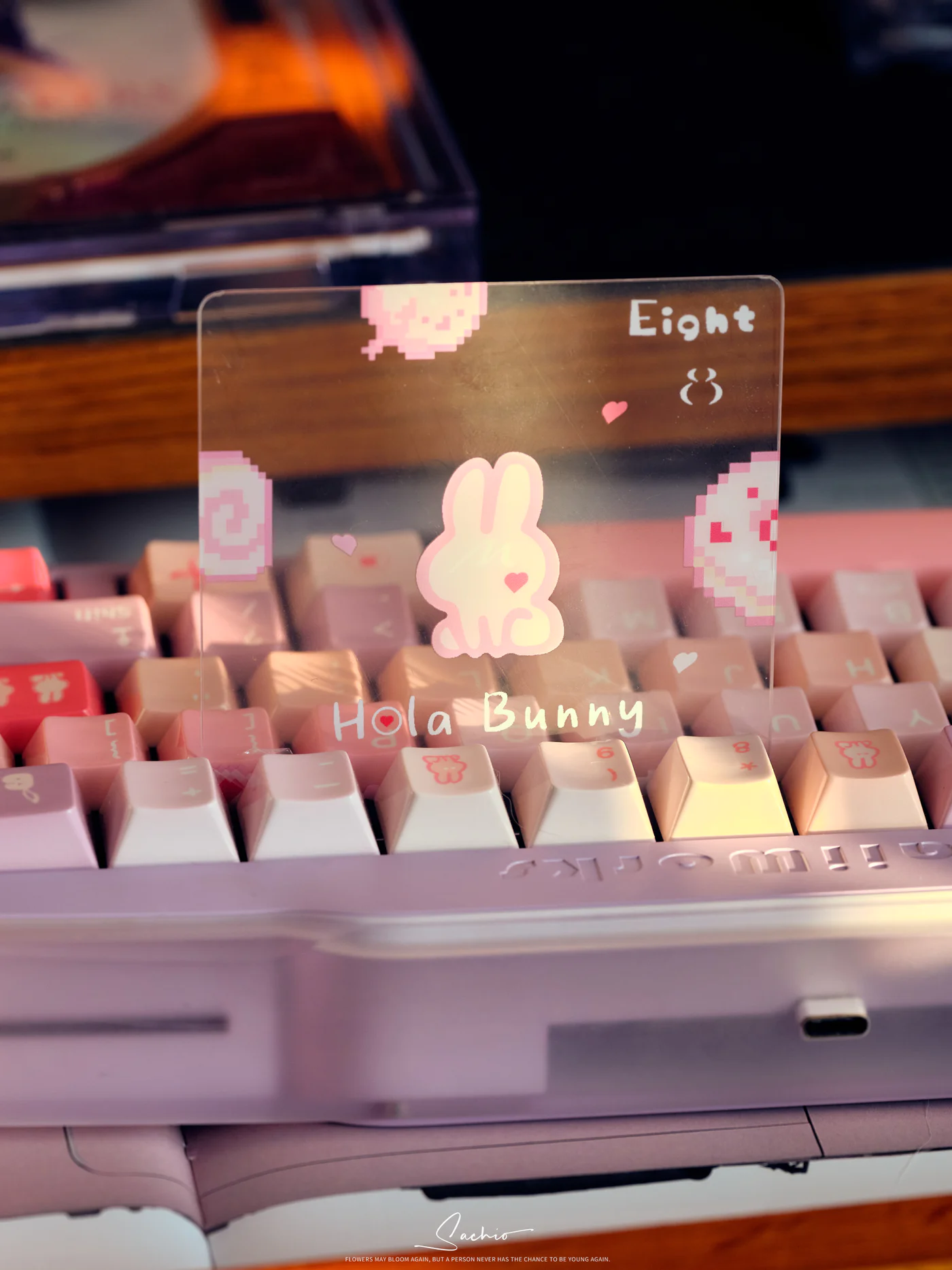 Hola Bunny | Cherry Profile | PBT Keycaps Set