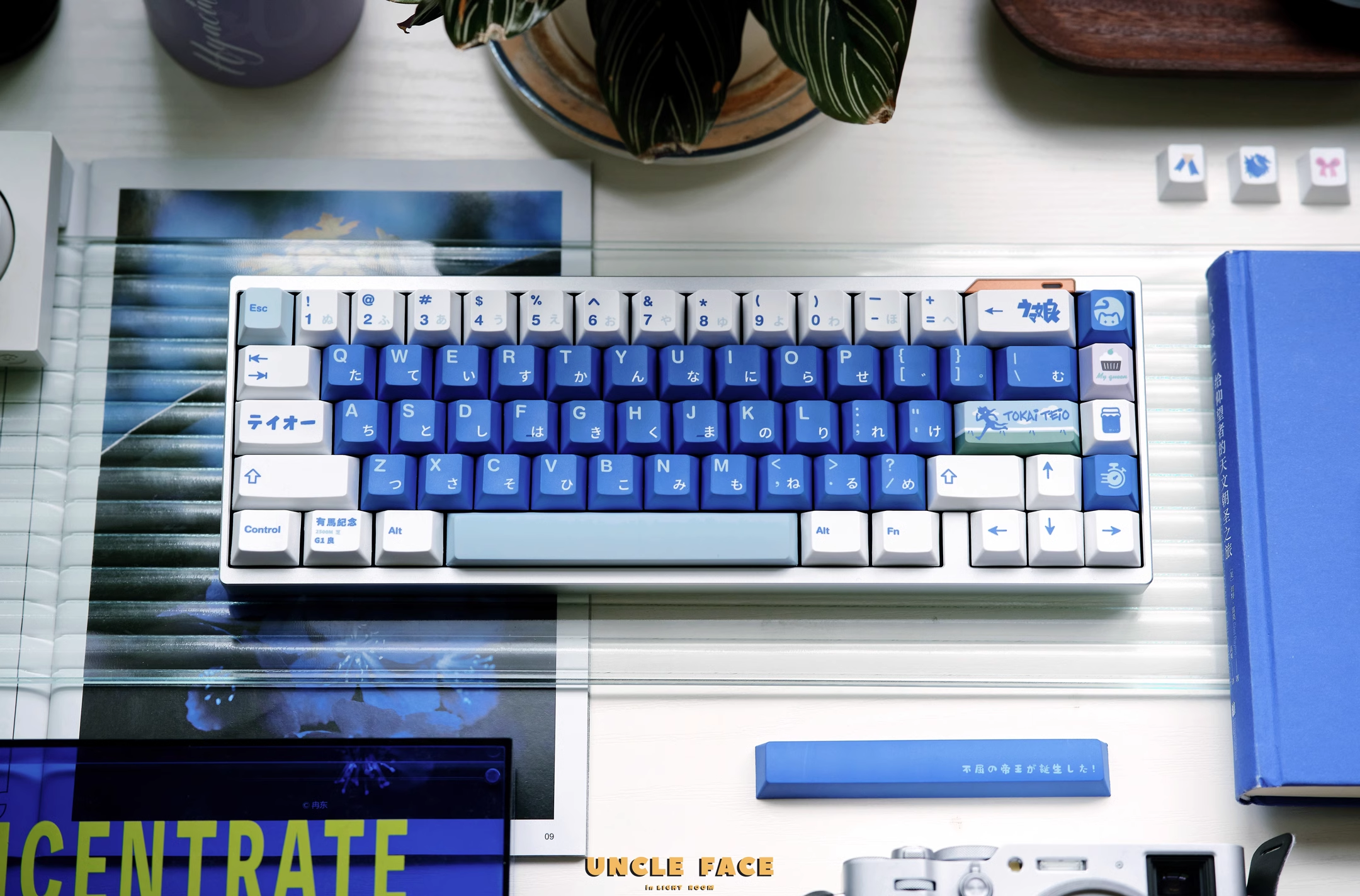 Uma Musume – Tokai Teio | Cherry Profile | PBT Keycap Set